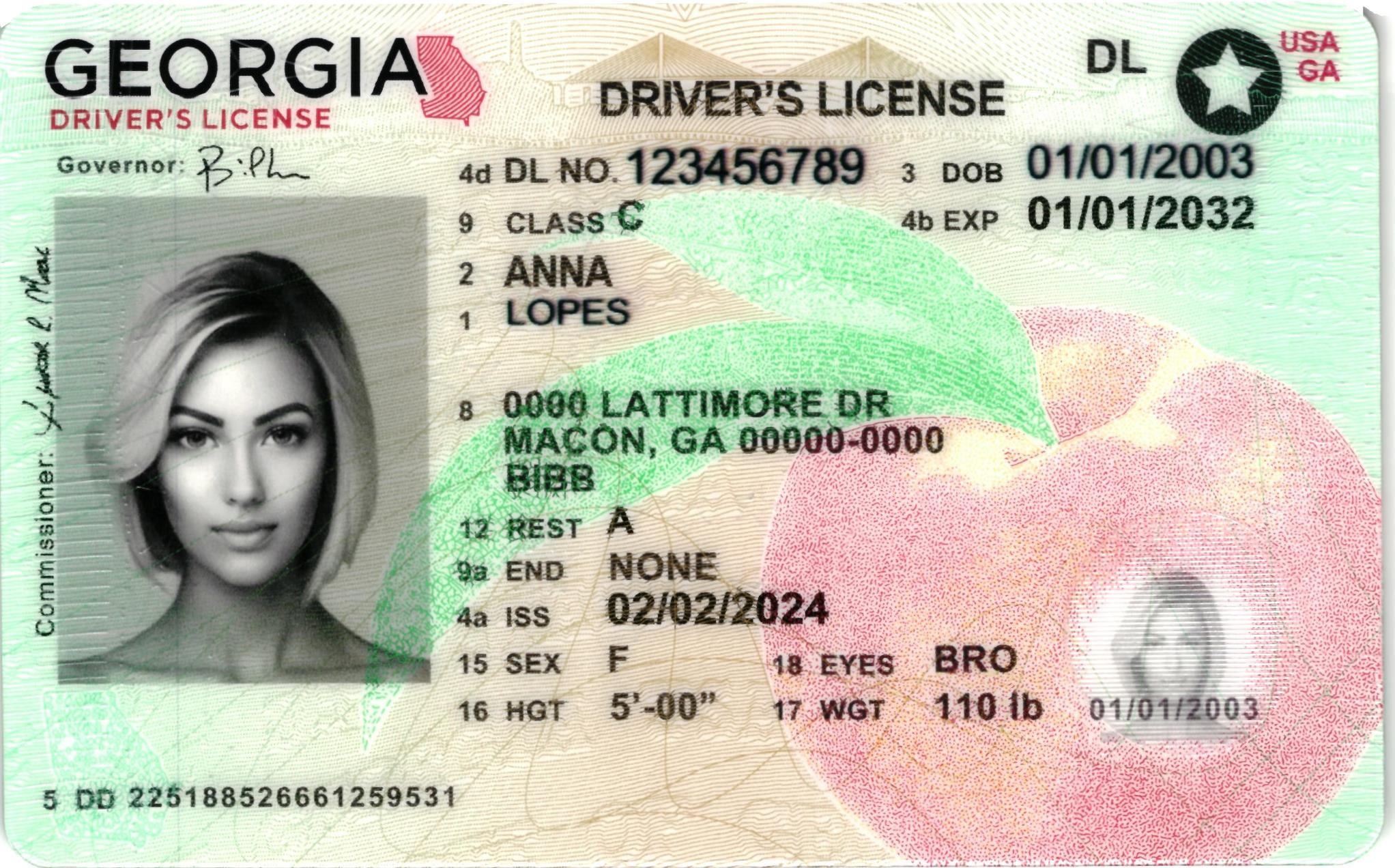 Georgia Driver License