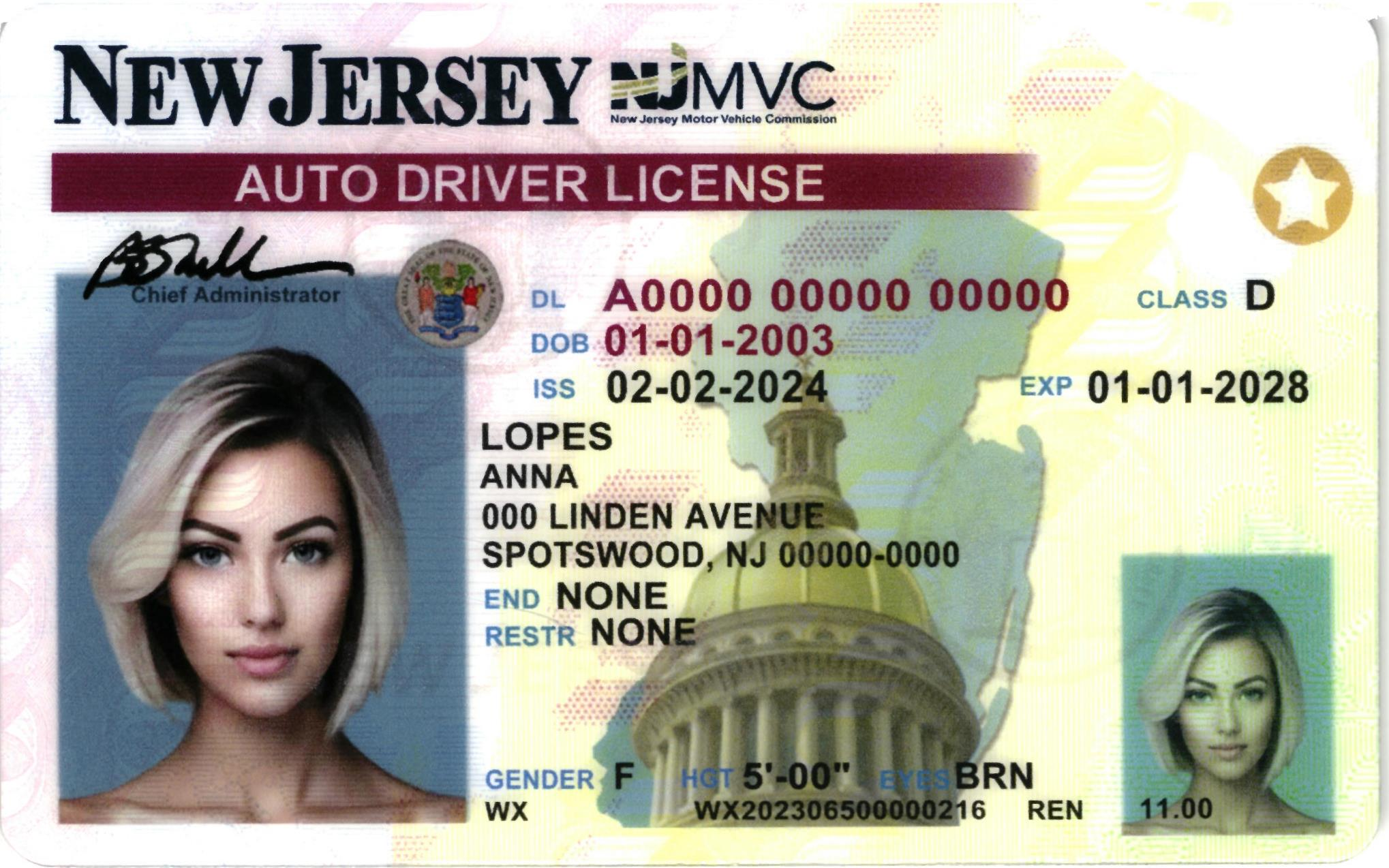 New Jersey Driver License